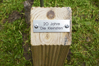 Ein Apfelb&auml;umchen wird gepflanzt