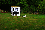 Open-Air-Ausstellung im KiTa-Garten mit den wunderbaren Fotos von Frank Schemann